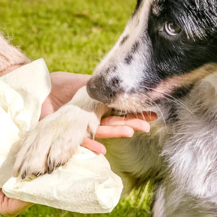 oecolife naturel hondenhanddoeken 9 rollen