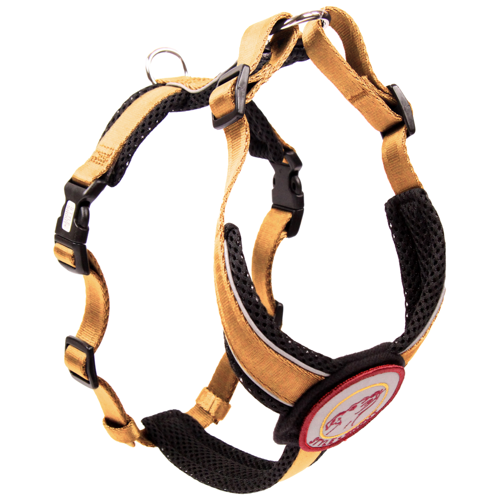 Borstharnas – Patch&Style – Goud