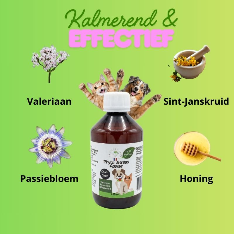 Phyto Serenity Zen voor honden en katten