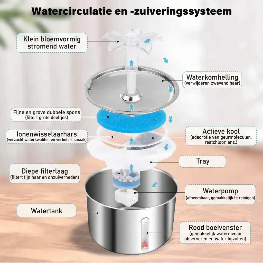 Hydrateer Uw Kat Beter Verminder Het Risico Op Pijnlijke Nierproblemen