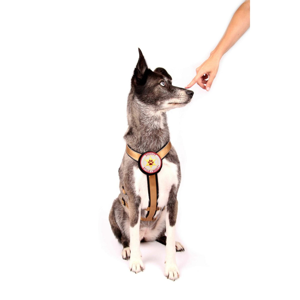 Veiligheidsharnas – Patch&Safe – Goud