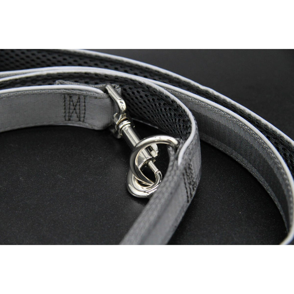 Hondenriem zilvergrijs, M en L