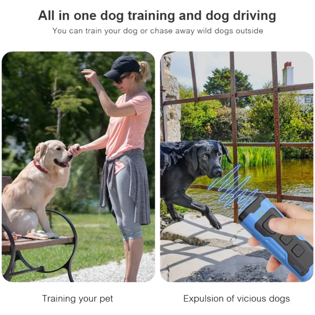 Honden trainer