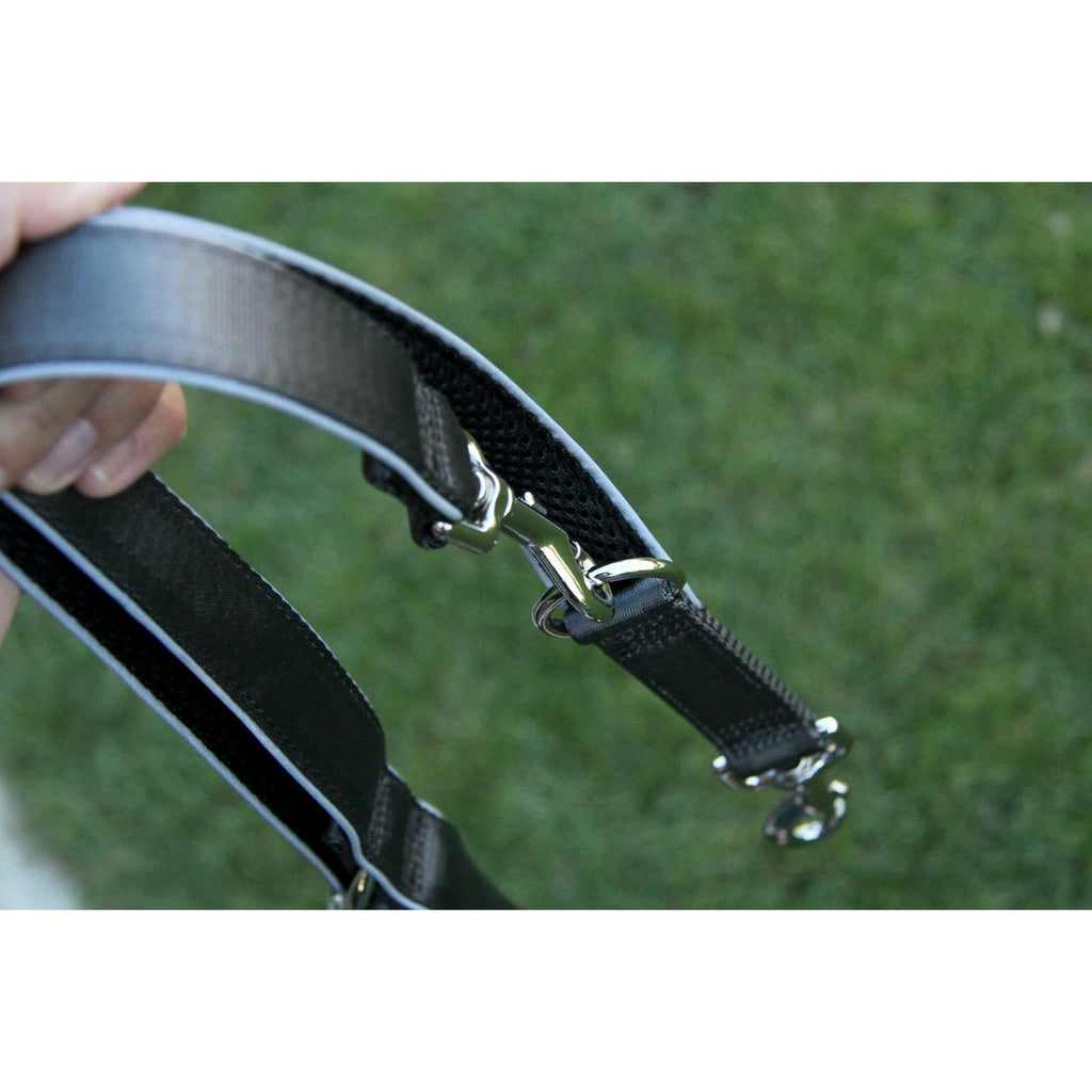 Hondenriem zilvergrijs, M en L