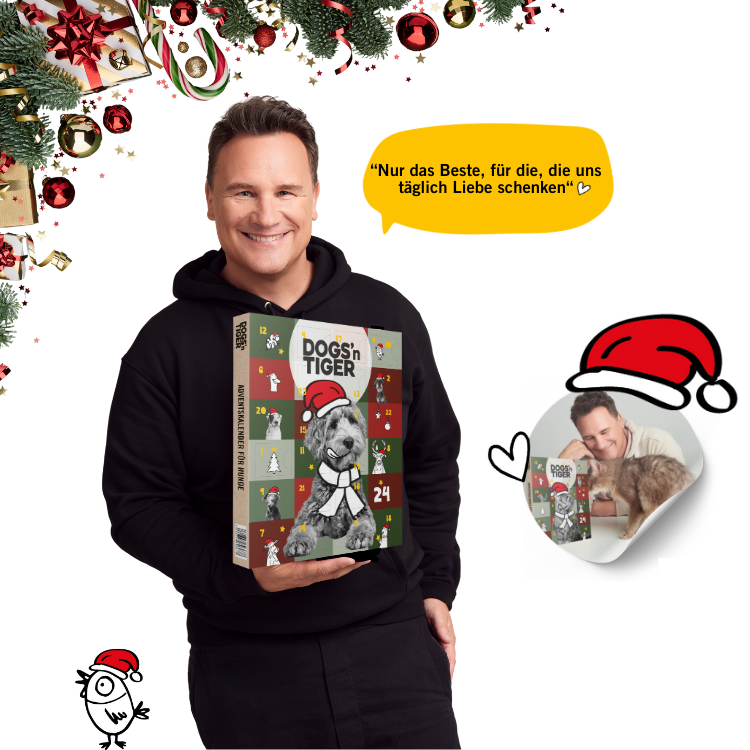 Dogs & Tiger - Advent Kalender 2025