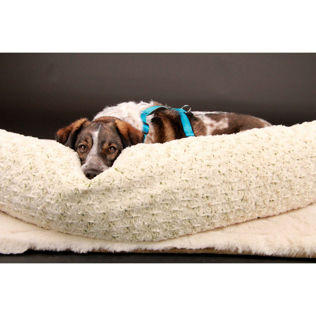 Borstharnas – Patch&Style – Blauw