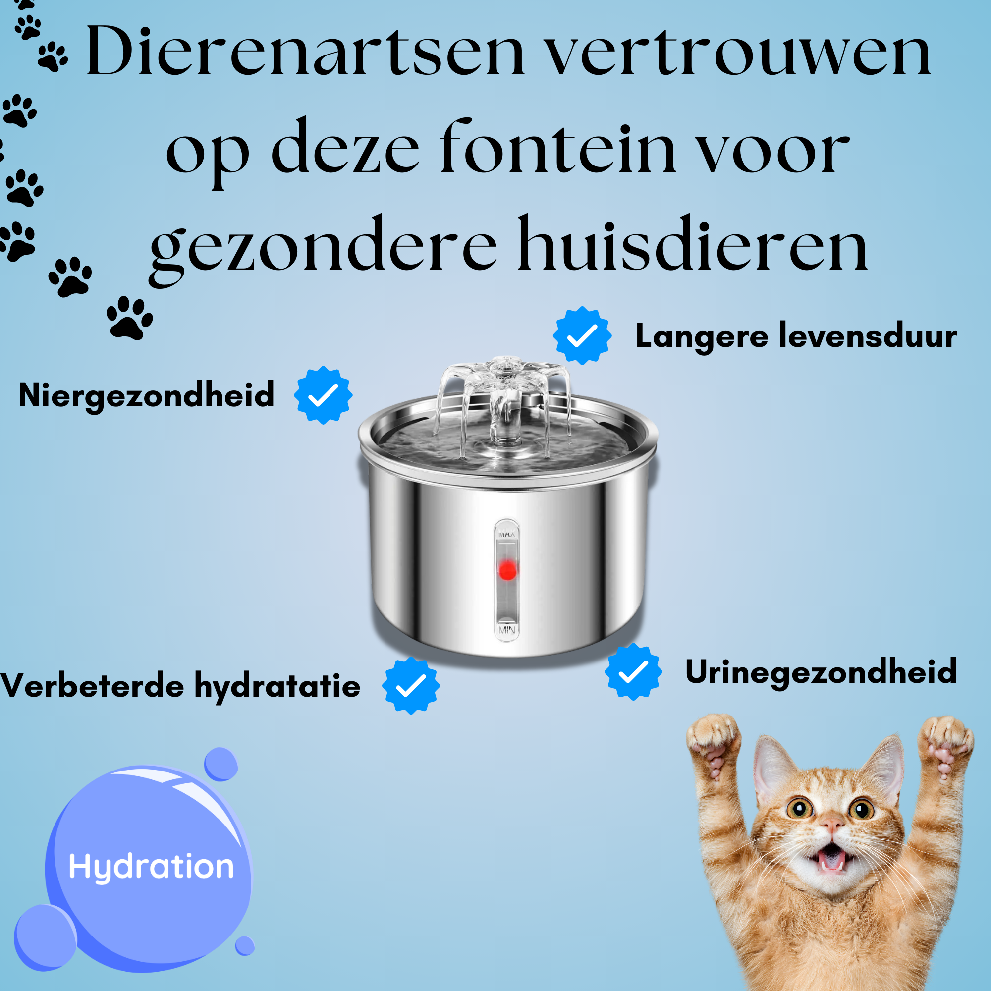 Hydrateer Uw Kat Beter Verminder Het Risico Op Pijnlijke Nierproblemen