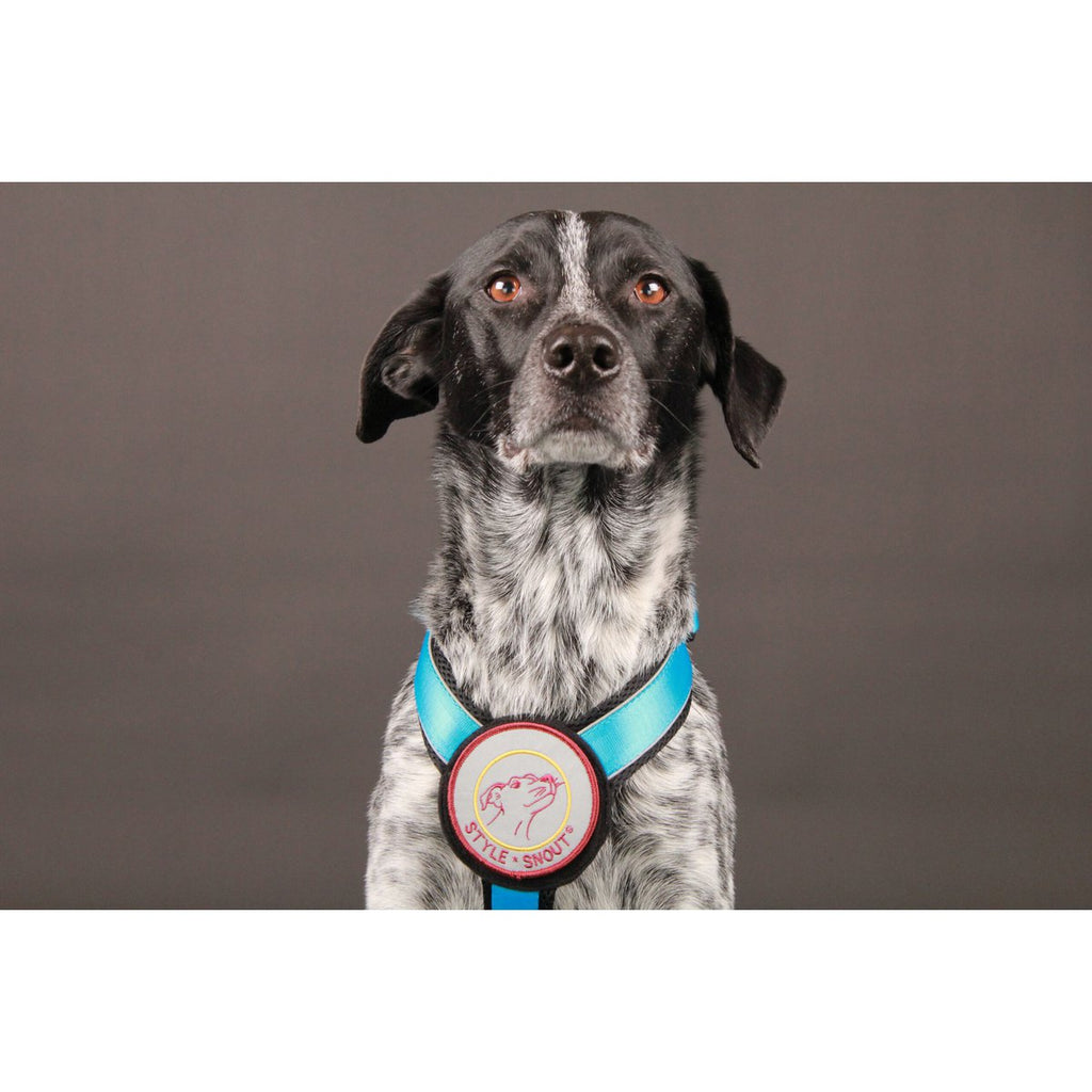 Borstharnas – Patch&Style – Blauw