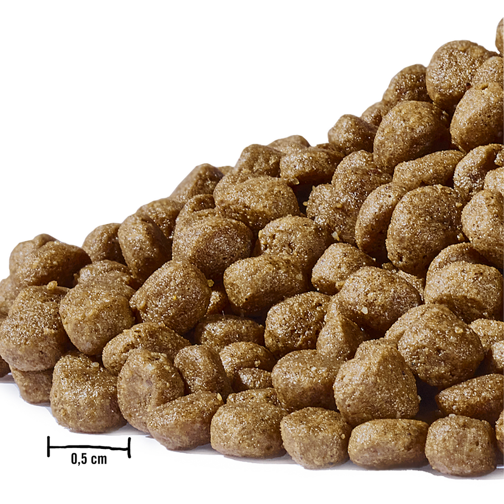 Dogs'n Tiger Graanvrij Droogvoer voor Kittens met Zalm & Kalkoen