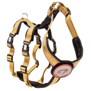 Veiligheidsharnas – Patch&Safe – Goud