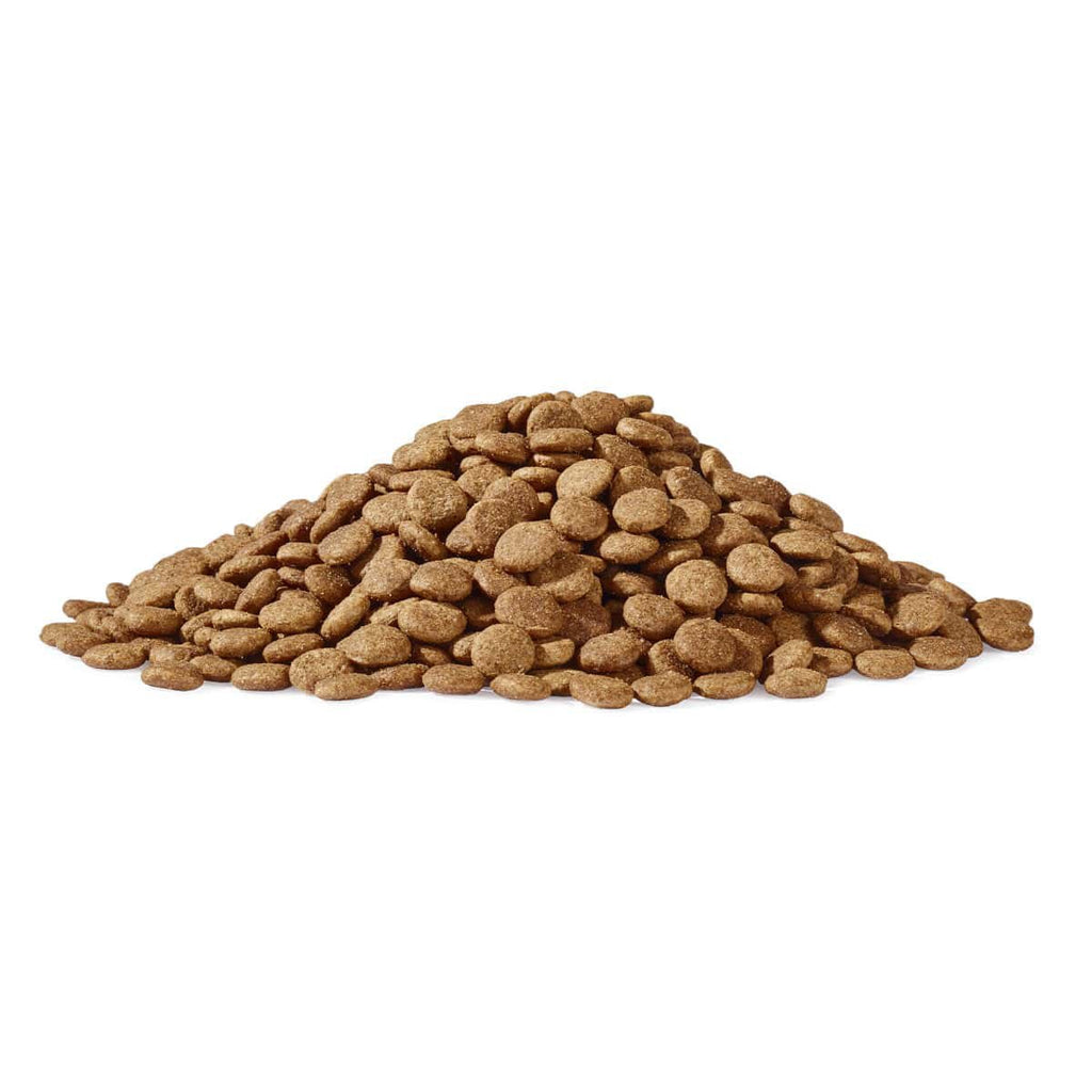 Dogs'n Tiger Graanvrij Droogvoer voor Volwassen & Senior Katten met gevogelte