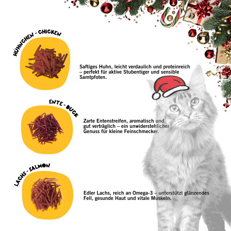 Tiger - Advent Kalender 2025