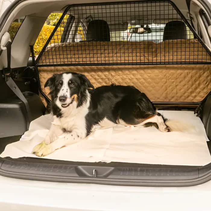 oecolife naturel hondenhanddoeken 9 rollen