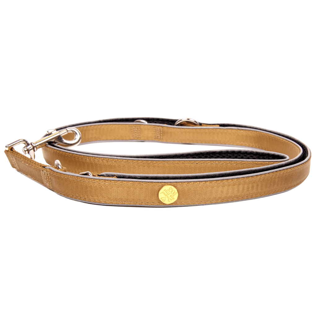 Hondenriem goud, M