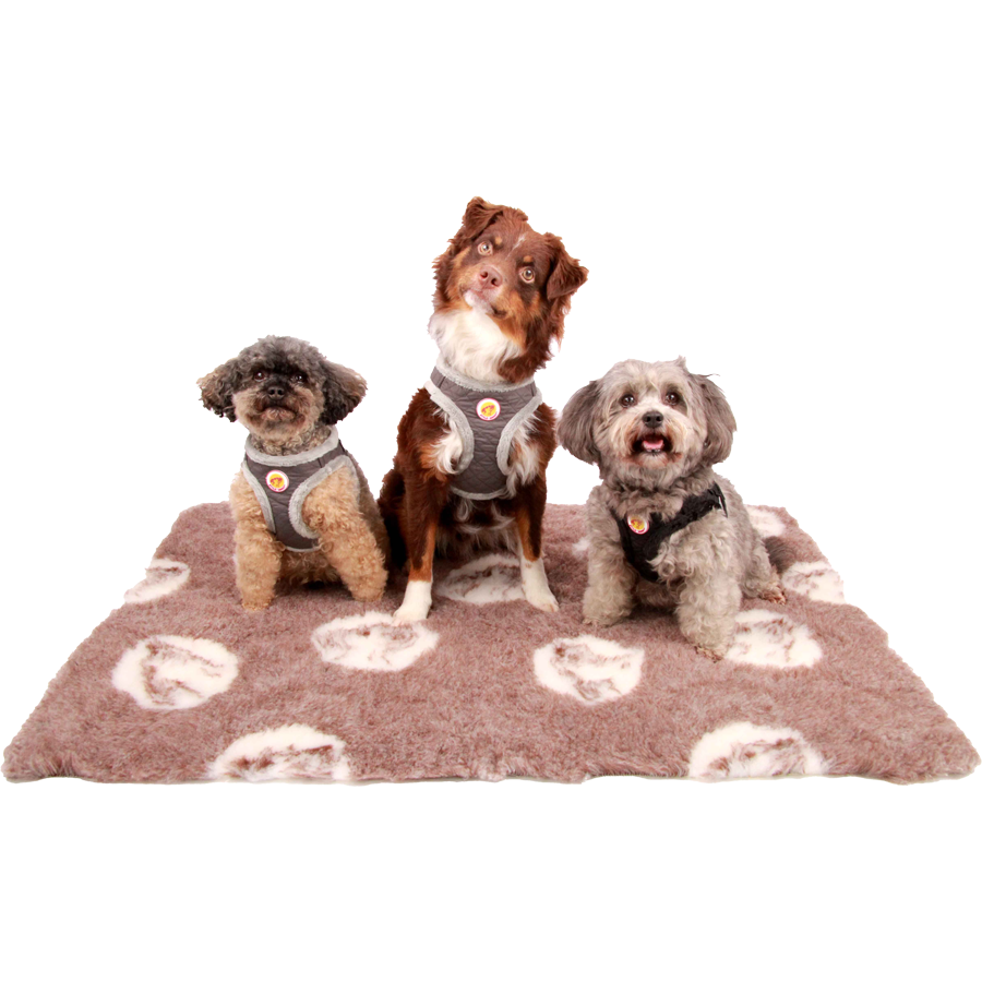 Borstharnas – Soft&Style