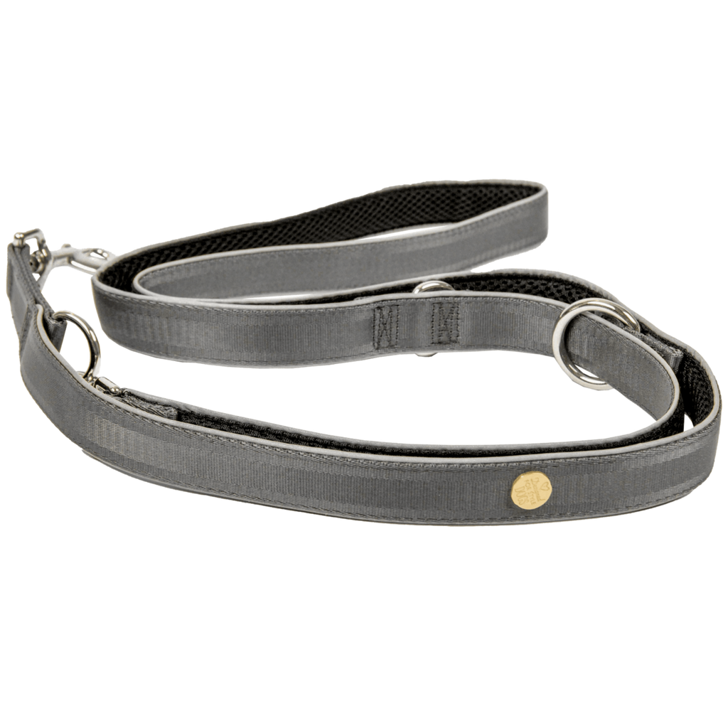 Hondenriem zilvergrijs, M en L
