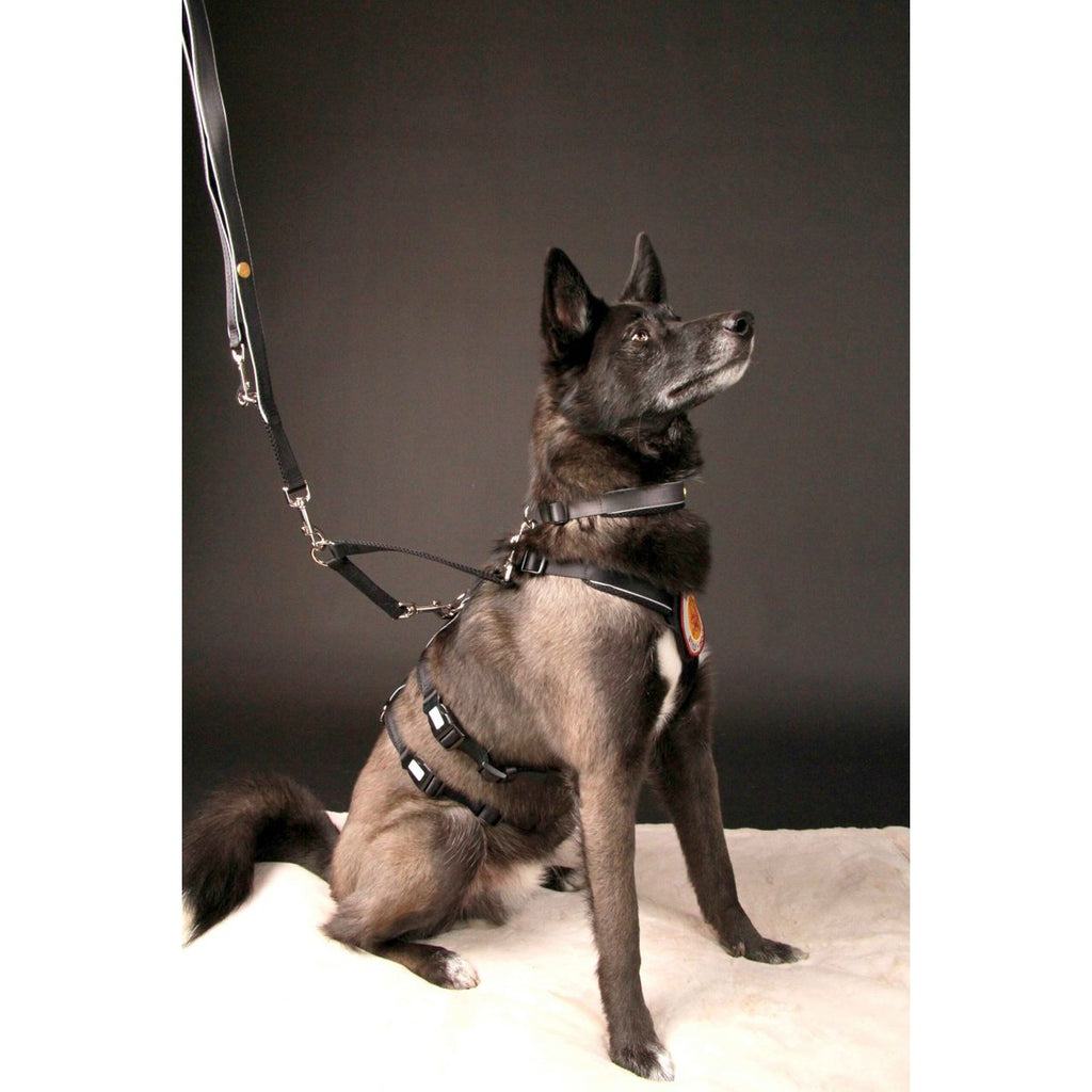 Veiligheidsharnas – Patch&Safe – Zilver