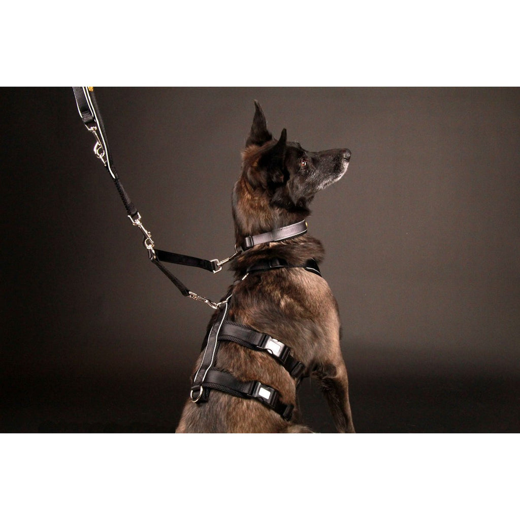 Veiligheidsharnas – Patch&Safe – Zilver