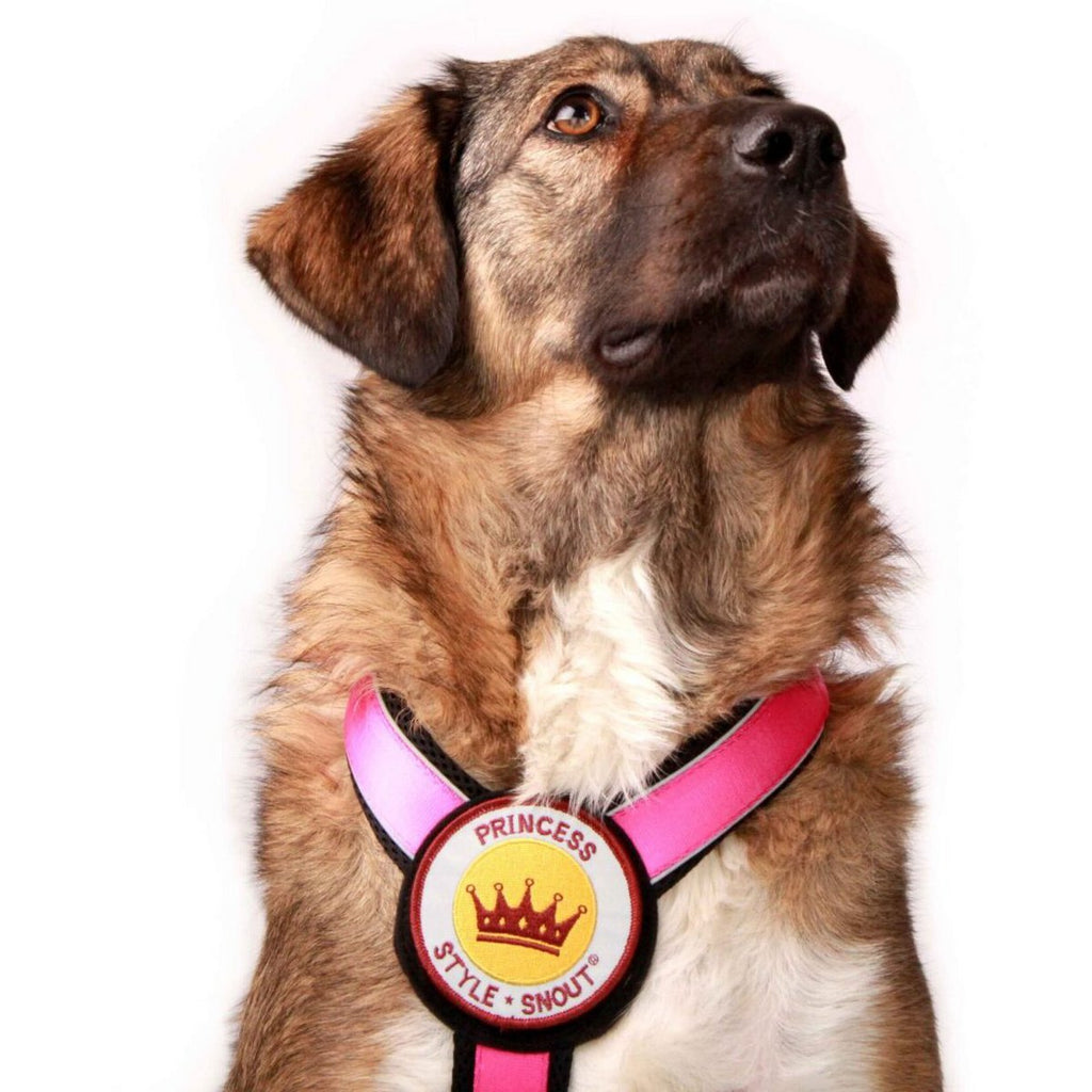 Borstharnas – Patch&Style – Roze