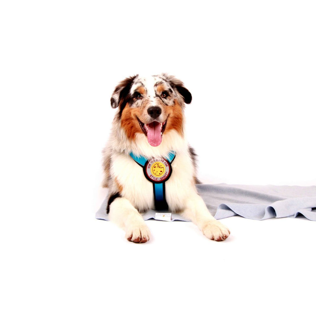 Borstharnas – Patch&Style – Blauw