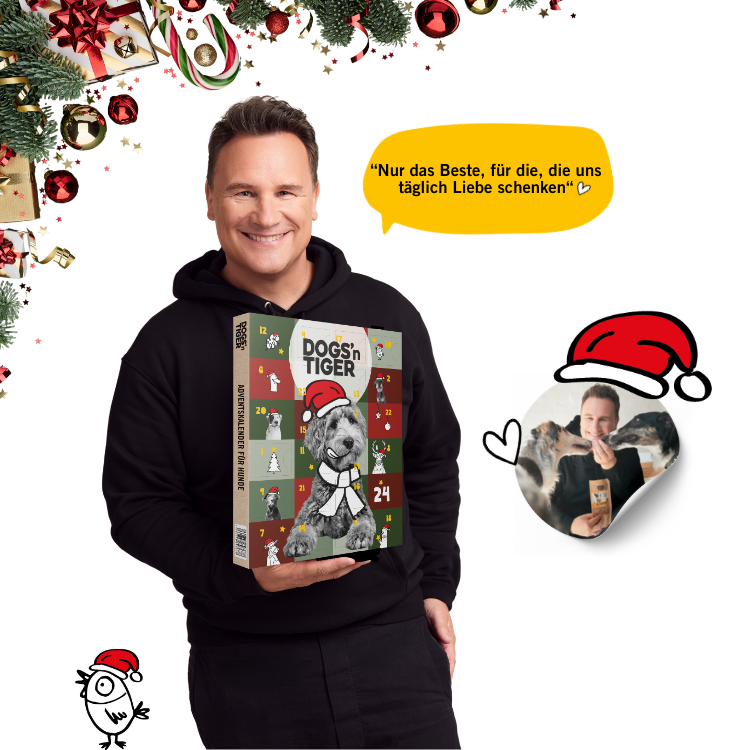 Honden - Adventkalender 2025