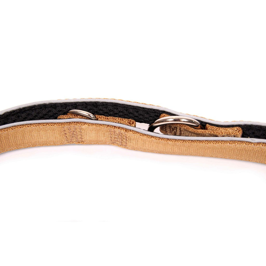 Hondenriem goud, M