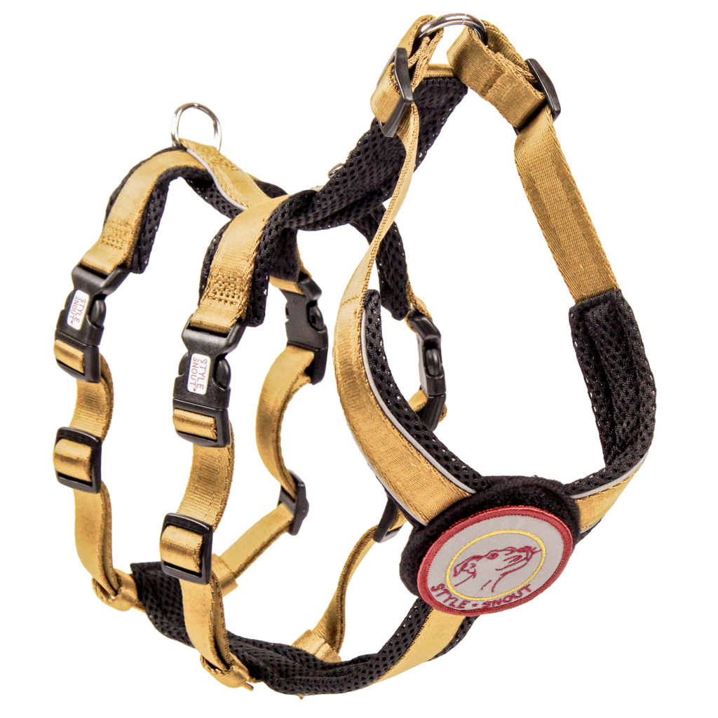 Veiligheidsharnas – Patch&Safe – Goud