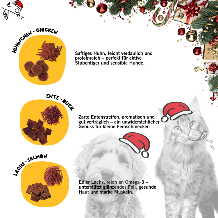 Dogs & Tiger - Advent Kalender 2025