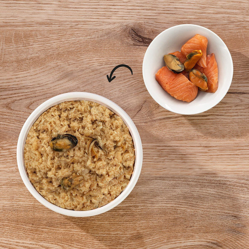 Dogs'n Tiger Graanvrij Natvoer voor Katten met Zalm & Mosselen