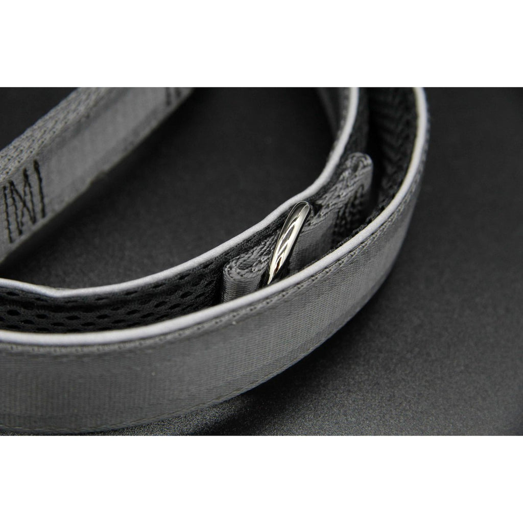 Hondenriem zilvergrijs, M en L