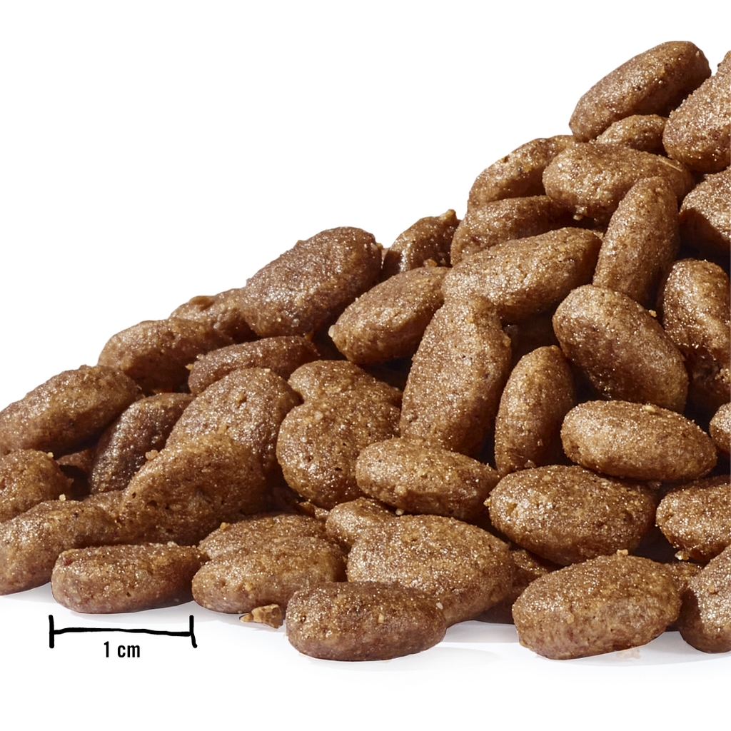 Dogs'n Tiger Graanvrij Droogvoer voor Katten: Kalkoen & Zalm