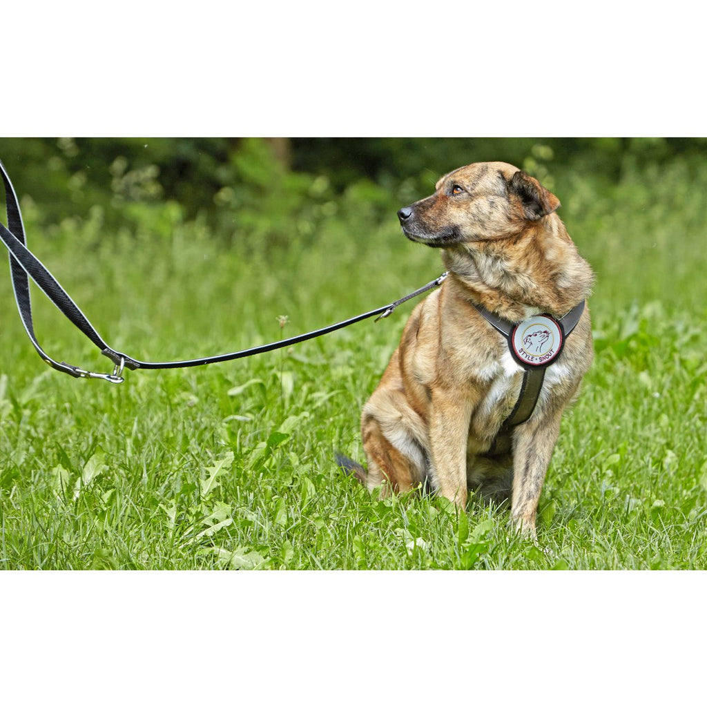 Hondenriem zilvergrijs, M en L