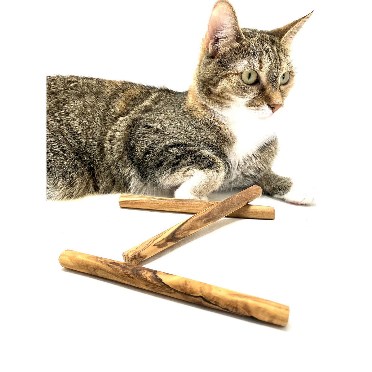 Olijfhouten kauwbotten kleine honden & katten